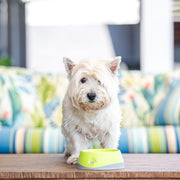 LickiMat OH Bowl™ Green for Dogs and Cats