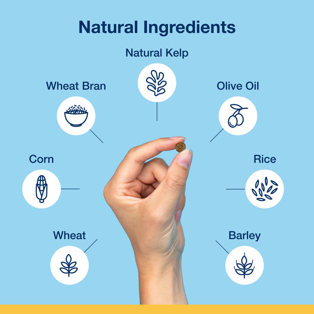 Plaque Off Dental Cat BItes Veggie 60g