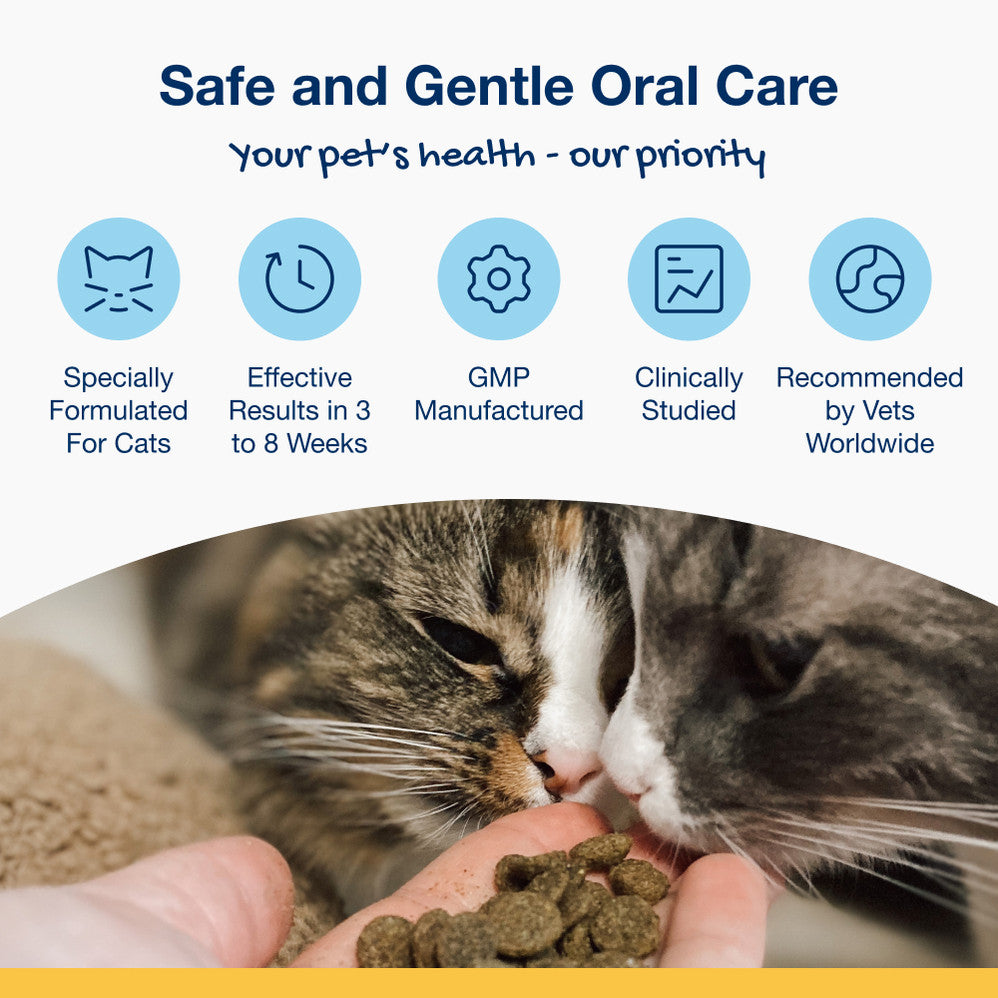 Plaque Off Dental Cat BItes Veggie 60g