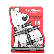 Red Dingo Bumble Bee Puppy Kit Black