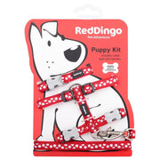 Red Dingo White Spots Puppy Kit Red