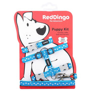 Red Dingo White Stars Puppy Kit Turquoise