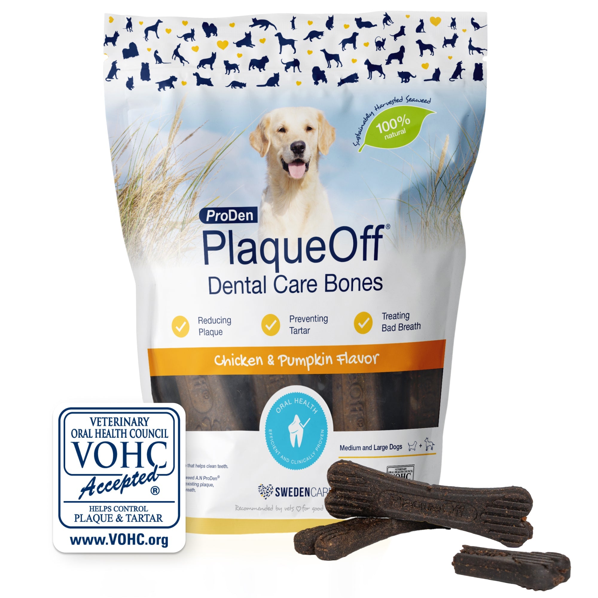Plaque Off Dental Bones Chicken & Pumpkin 485g