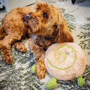 Rosewood Papa Pesto Pinwheel Dog Toy