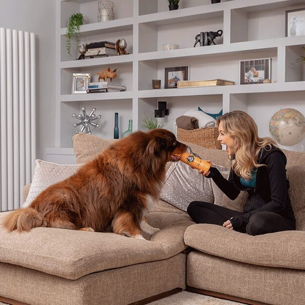 Pet Head Ditch The Dirt Shampoo 300ml