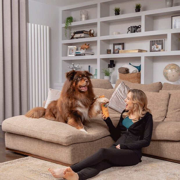 Pet Head Ditch The Dirt Shampoo 300ml