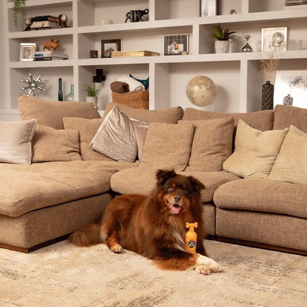 Pet Head Ditch The Dirt Shampoo 300ml