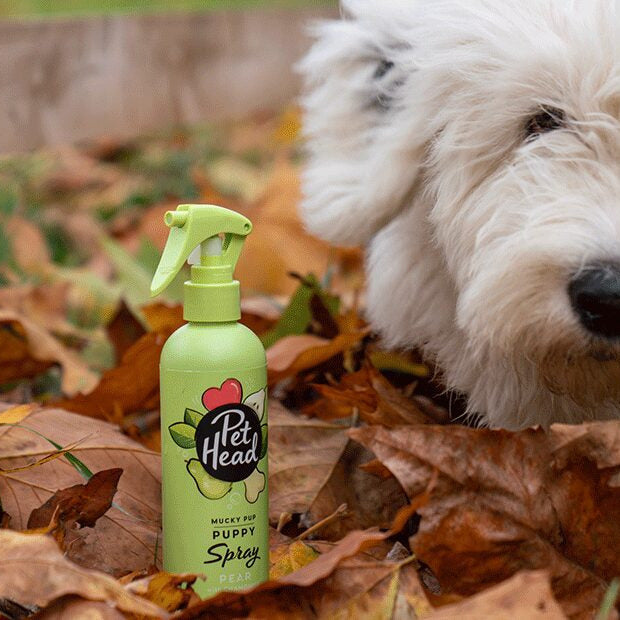 Pet Head Mucky Puppy Spray 300ml