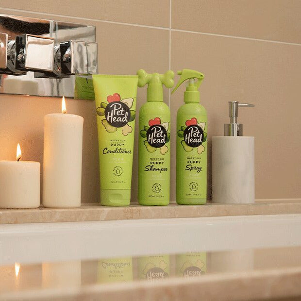 Pet Head Mucky Puppy Shampoo 300ml