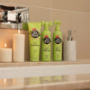 Pet Head Mucky Puppy Shampoo 300ml