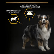 Purina PRO PLAN Light/Sterilised Chicken Dry Dog Food