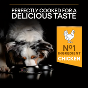 Purina PRO PLAN Light/Sterilised Chicken Dry Dog Food