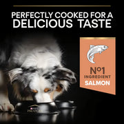 Purina PRO PLAN® Medium and Large Adult 7+ Sensitive Skin Salmon Dry Dog Food