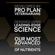 Purina PRO PLAN® Small and Mini Adult 9+ Senior Age Defence Chicken Dry Dog Food