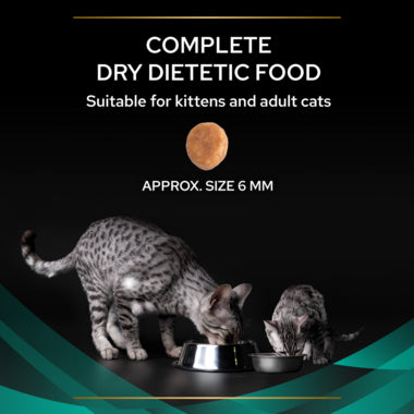 PRO PLAN VETERINARY DIETS EN Gastrointestinal Dry Cat Food
