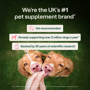 YuMOVE Digestive Support Probiotic & Fibre for Dogs