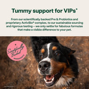 YuMOVE Digestive Support Probiotic & Fibre for Dogs
