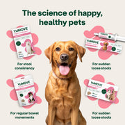 YuMOVE Digestive Support Probiotic & Fibre for Dogs