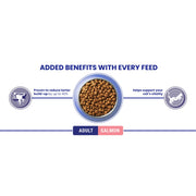 PURINA® ONE Salmon Dry Cat Food