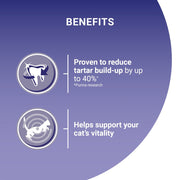 PURINA® ONE Salmon Dry Cat Food