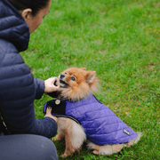 Henry Wag Quilted Dog Jacket