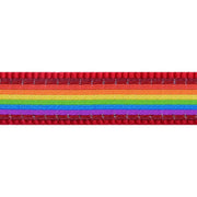 Red Dingo Rainbow Puppy Kit Red