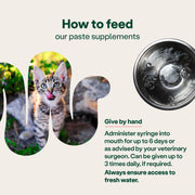 YuMOVE Digestive Support Rapid Paste for Dogs and Cats