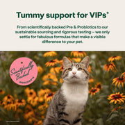 YuMOVE Digestive Support Rapid Paste for Dogs and Cats