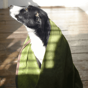 Henry Wag Refresh Dog Towel