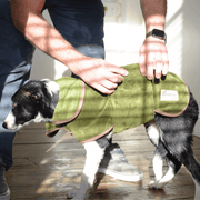 Henry Wag Refresh Dog Drying Coat