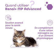 MP Labo Renal+ MP Advanced 40g