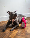 Rosewood Cooling Dragonfruit Dragon Dog Toy