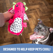 Rosewood Cooling Dragonfruit Dragon Dog Toy