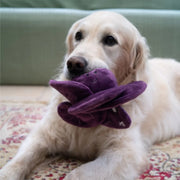 Petface Foodie Faces Ruby Red Cabbage Plush Dog Toy