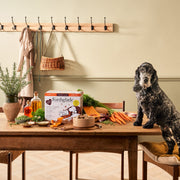 Forthglade Complete Grain Free Senior Turkey & Lamb Variety Pack Wet Dog Food