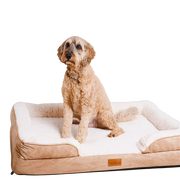 Washable Luxury Dog Sofa Bed - Large