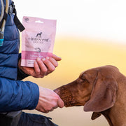 The Innocent Hound Salmon Bites with Sweet Potato Dog Treats