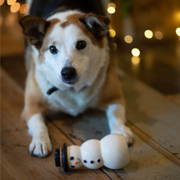 Petface Santos Snowman Latex Christmas Dog Toy