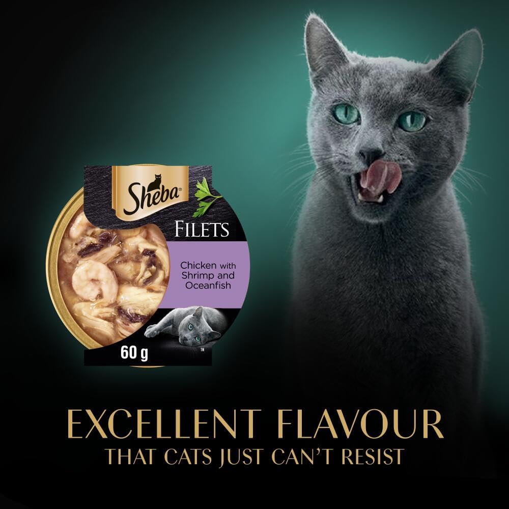 Sheba Fillets Tray Chicken & Tuna MSC Gravy 32x60g