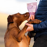 The Innocent Hound Venison with Potato Sausages Dog Treats