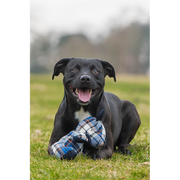 Rosewood Chubleez Blueberry Bear Dog Toy