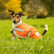Waterproof Dog Coat - Orange