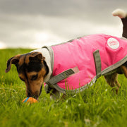 Waterproof Dog Coat - High Viz Pink