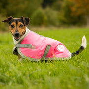 Waterproof Dog Coat - High Viz Pink