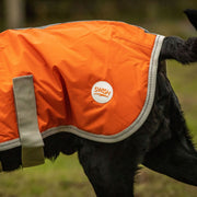 Waterproof Dog Coat - Orange