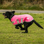 Waterproof Dog Coat - High Viz Pink