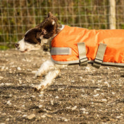 Waterproof Dog Coat - Orange