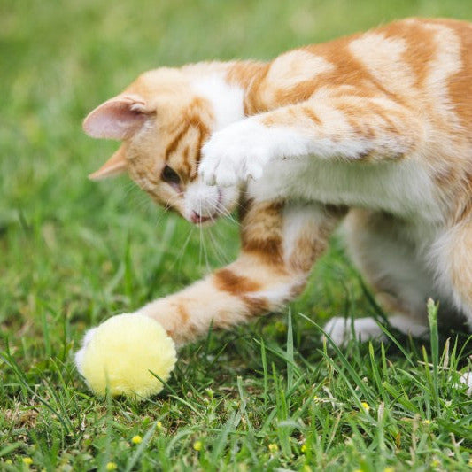 Petface Pom Pom (4Pk) Cat Toy