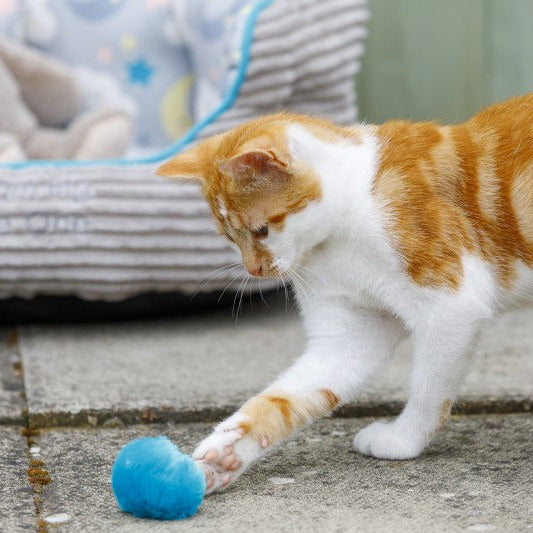Petface Pom Pom (4Pk) Cat Toy