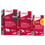 Elanco Galliprant Tablets for Dogs